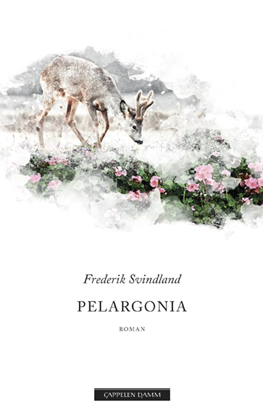 Svindland_Pelargonia